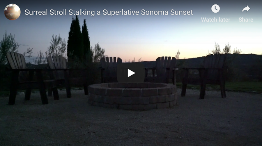 Surreal Stroll Stalking a Superlative Sonoma Sunset