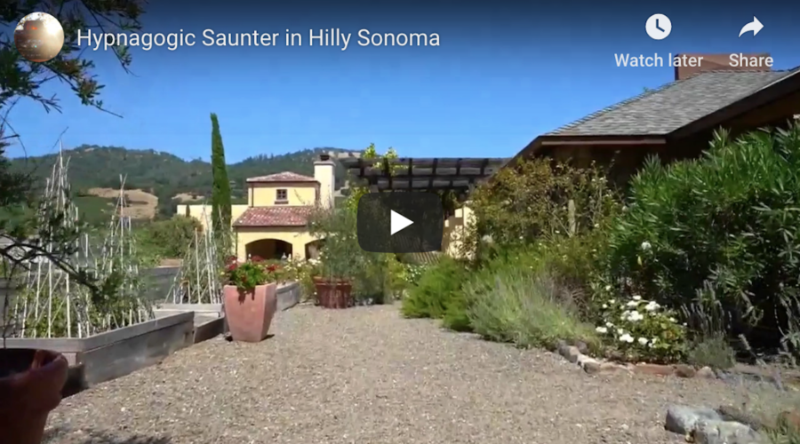 Hypnagogic Saunter in Hilly Sonoma