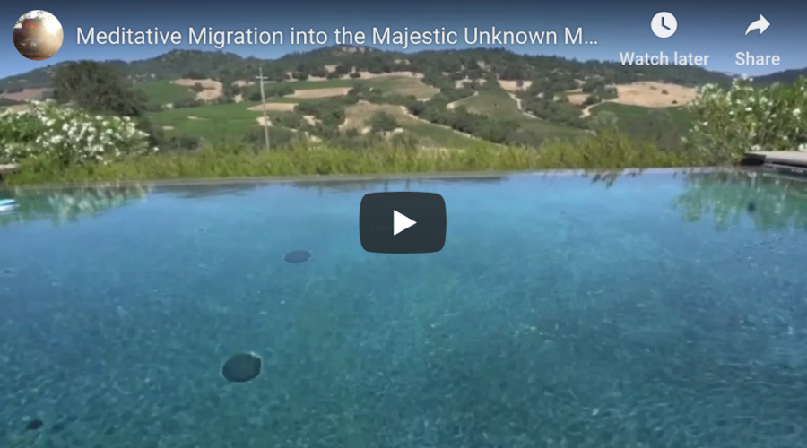 Meditative Migration into the Majestic Unknown Montage