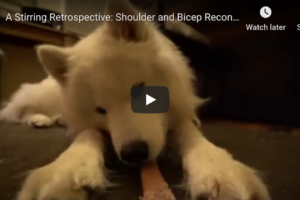A Stirring Retrospective: Shoulder and Bicep Reconstructive Surgery Rebound