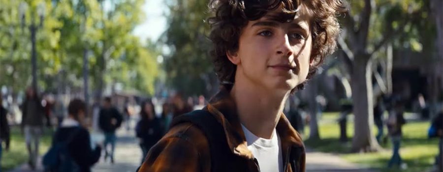 ‘Beautiful Boy’ Teaser: Timothée Chalamet Struggles As A Hardcore Drug Addict